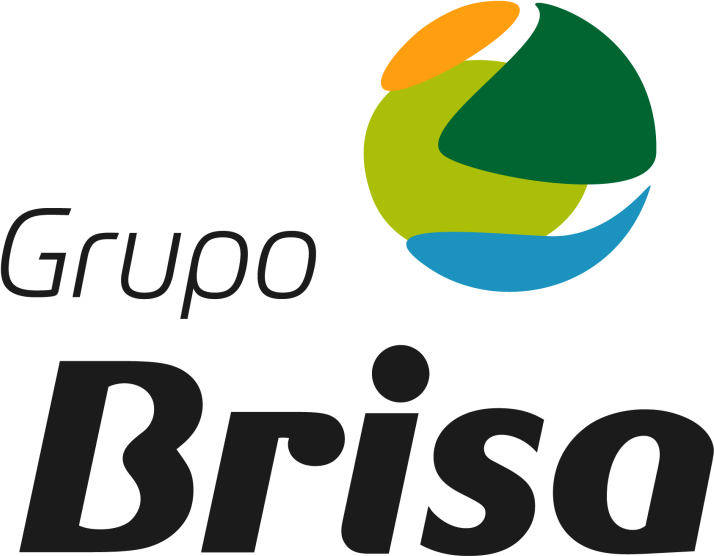 Grupo Brisa